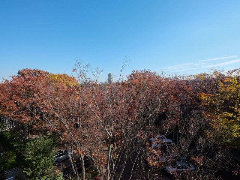 青々とした開けた空を見渡せる開放的な眺望です。遠くの天気もよく見え開放感が溢れるひととき。季節ごとの木々や空の色を愉しみリフレッシュするのも良さそうです。