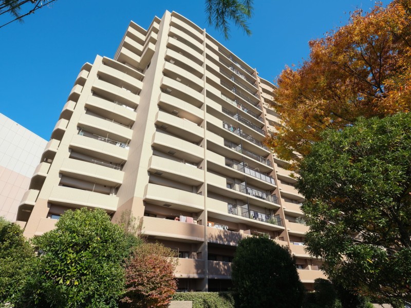 江東区東雲エリアに佇む、14階建て総戸数323戸の大規模マンションです。2駅2路線に恵まれたアクセスが快適な日々を叶えます。都市生活を送られる方にとって魅力的な住環境です。