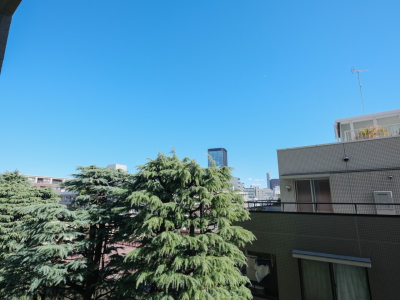 バルコニーからは大きくひらけた青空と青々と茂った緑のコントラストが楽しめます。都会の喧騒を忘れて、移り行く空の色を眺めながらのリフレッシュもできそうですね。