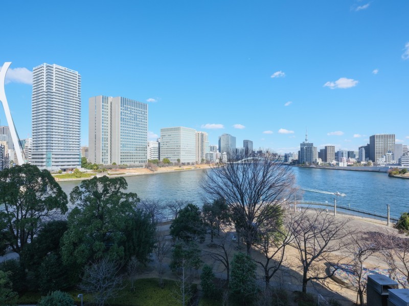 空へと繋がるスマートなビル群のシルエットに都心の刺激を間近に感じながらも、青々とした空と水辺を眺めリラックスできるバルコニーです。