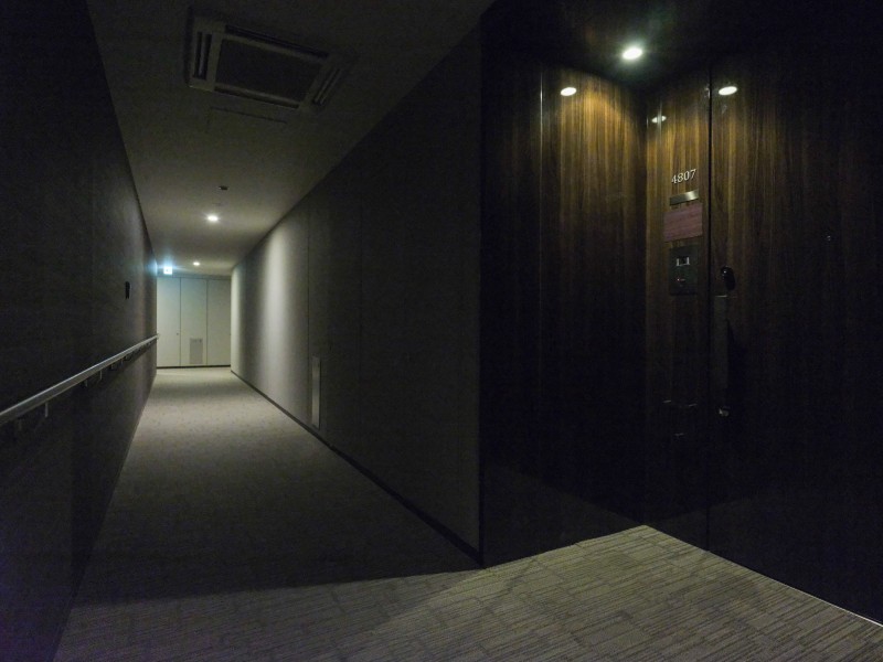 エレベーターを降りてお部屋へと続く廊下は、ホテルライクな内廊下設計です。外気の影響を受けにくく、プライバシーも守られやすいです。