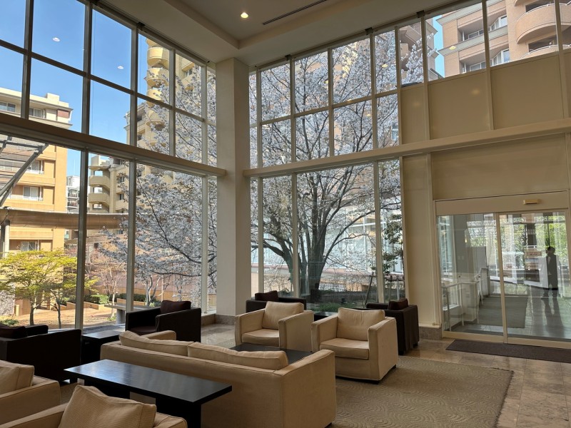 春にはロビーから敷地内に植えられた桜の花を眺めることができます。