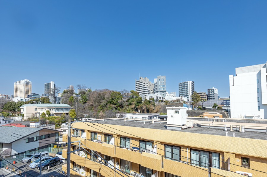 都心に位置しながらも、見上げると青々と広がる空を堪能できる眺望です。清らかで穏やかな時間が流れ、ほっと一息つきたくなる眺めです。