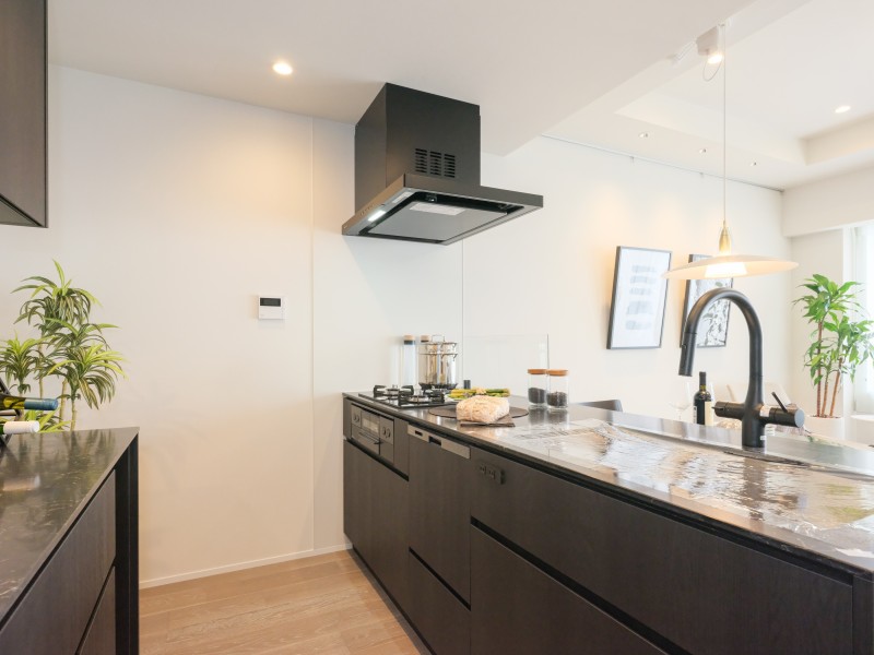 使い勝手も便利な田中工藝製オープンシステムキッチンを採用しました。ガラストップを採用したお手入れのしやすいキッチンです。家事時短に便利な食器洗浄乾燥機付きです。